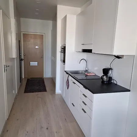 Lägenhet Moderni Huoneisto Keskustassa
